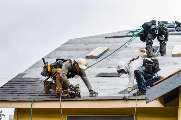 Professional Roofing technician working in Livonia Center, NY